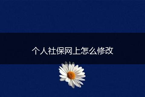 个人社保网上怎么修改