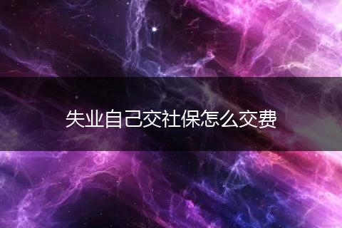 失业自己交社保怎么交费