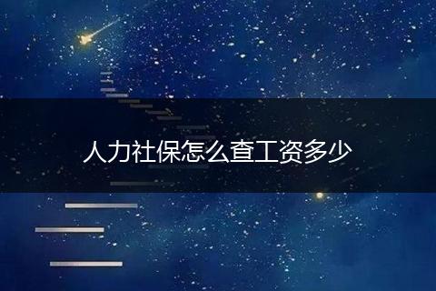 人力社保怎么查工资多少