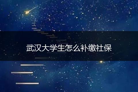 武汉大学生怎么补缴社保