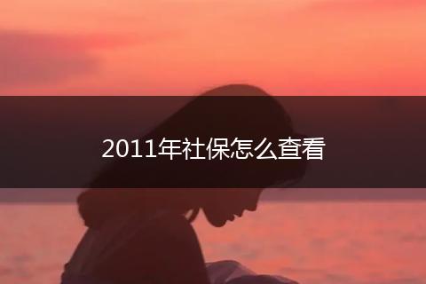 2011年社保怎么查看
