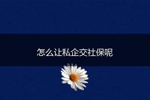 怎么让私企交社保呢
