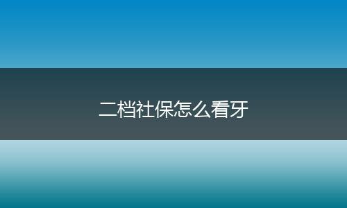 二档社保怎么看牙