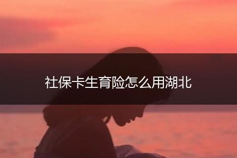 社保卡生育险怎么用湖北