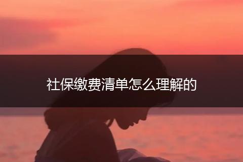 社保缴费清单怎么理解的