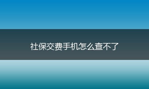 社保交费手机怎么查不了
