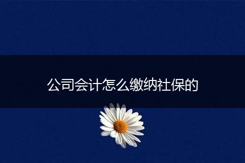 公司会计怎么缴纳社保的