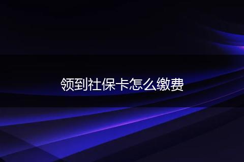 领到社保卡怎么缴费