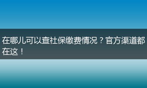 在哪儿可以查社保缴费情况？官方渠道都在这！