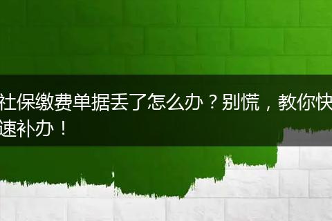 社保缴费单据丢了怎么办？别慌，教你快速补办！