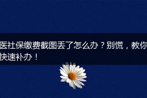 医社保缴费截图丢了怎么办？别慌，教你快速补办！