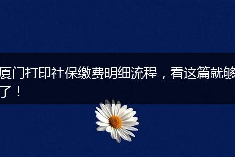 厦门打印社保缴费明细流程，看这篇就够了！