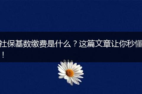 社保基数缴费是什么？这篇文章让你秒懂！