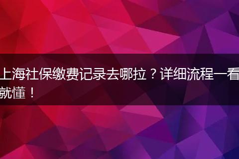 上海社保缴费记录去哪拉？详细流程一看就懂！
