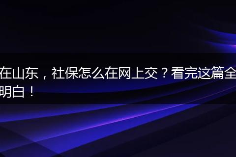 在山东，社保怎么在网上交？看完这篇全明白！