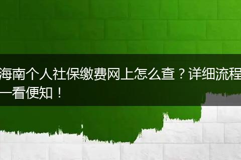 海南个人社保缴费网上怎么查？详细流程一看便知！