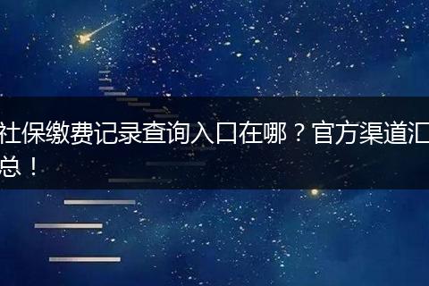 社保缴费记录查询入口在哪？官方渠道汇总！
