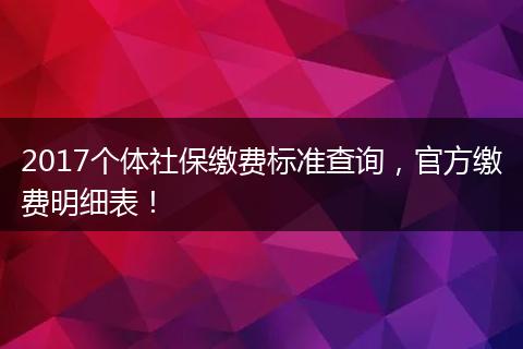 2017个体社保缴费标准查询，官方缴费明细表！