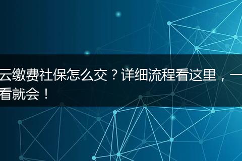 云缴费社保怎么交？详细流程看这里，一看就会！