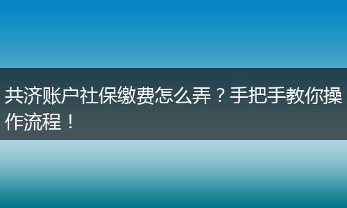 共济账户社保缴费怎么弄？手把手教你操作流程！
