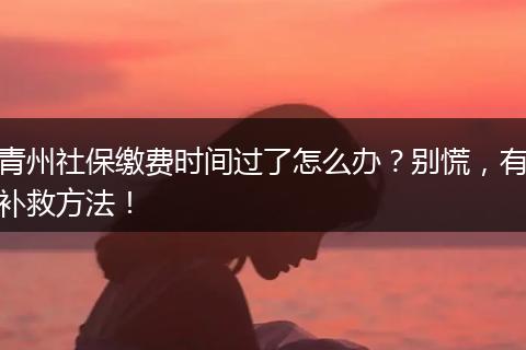 青州社保缴费时间过了怎么办？别慌，有补救方法！