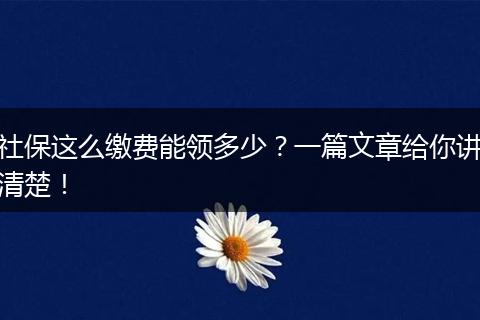 社保这么缴费能领多少？一篇文章给你讲清楚！