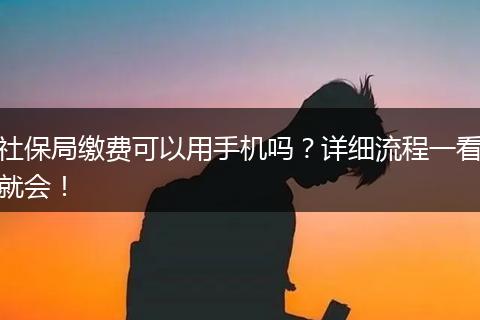 社保局缴费可以用手机吗？详细流程一看就会！