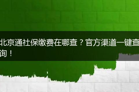 北京通社保缴费在哪查？官方渠道一键查询！