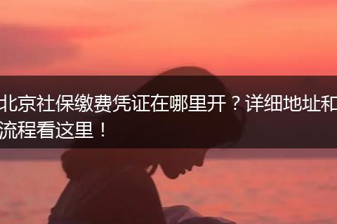 北京社保缴费凭证在哪里开？详细地址和流程看这里！