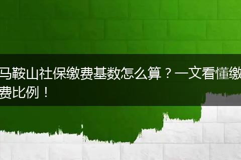 马鞍山社保缴费基数怎么算？一文看懂缴费比例！