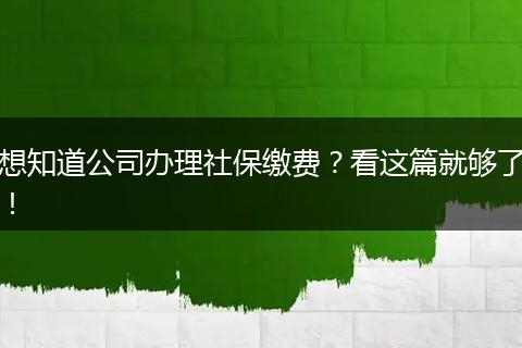想知道公司办理社保缴费？看这篇就够了！