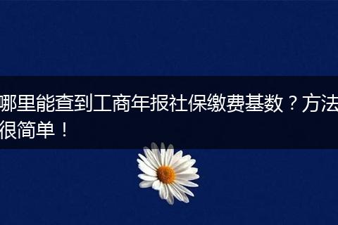 哪里能查到工商年报社保缴费基数？方法很简单！