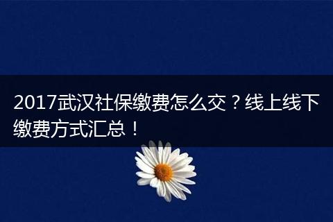 2017武汉社保缴费怎么交？线上线下缴费方式汇总！