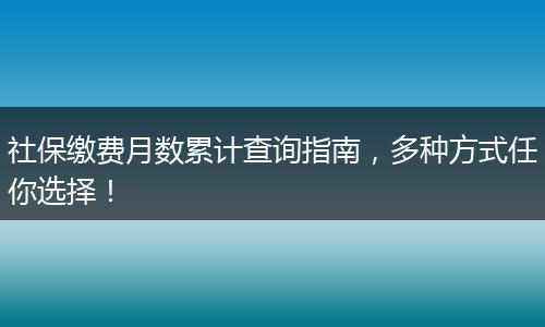 社保缴费月数累计查询指南，多种方式任你选择！