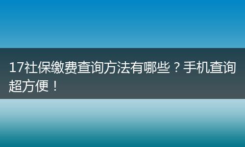 17社保缴费查询方法有哪些？手机查询超方便！