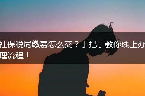 社保税局缴费怎么交？手把手教你线上办理流程！