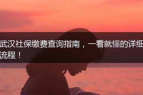 武汉社保缴费查询指南，一看就懂的详细流程！