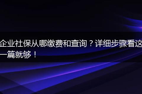 企业社保从哪缴费和查询？详细步骤看这一篇就够！