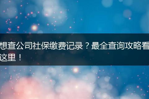 想查公司社保缴费记录？最全查询攻略看这里！
