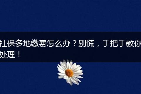 社保多地缴费怎么办？别慌，手把手教你处理！