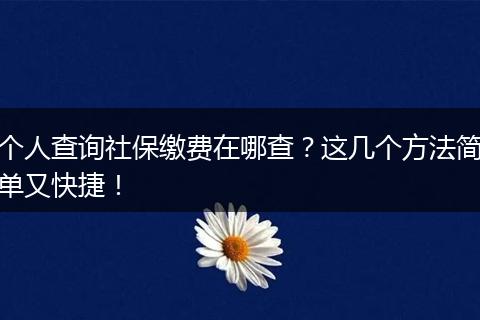 个人查询社保缴费在哪查？这几个方法简单又快捷！