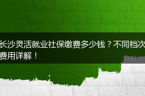 长沙灵活就业社保缴费多少钱？不同档次费用详解！