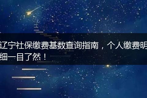辽宁社保缴费基数查询指南，个人缴费明细一目了然！