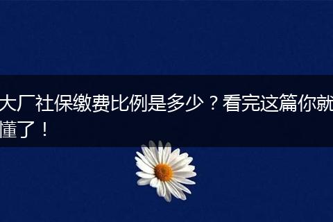 大厂社保缴费比例是多少？看完这篇你就懂了！