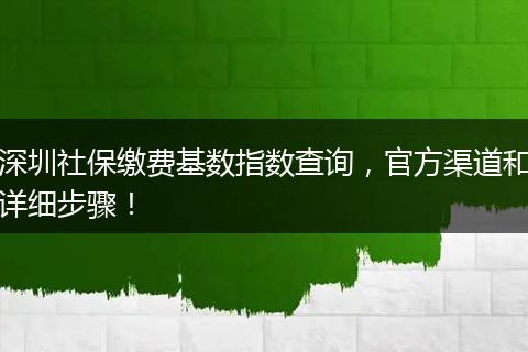 深圳社保缴费基数指数查询，官方渠道和详细步骤！