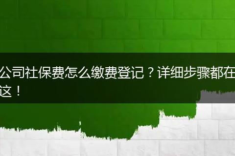 公司社保费怎么缴费登记？详细步骤都在这！