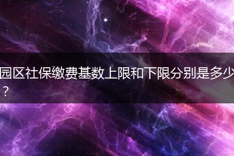 园区社保缴费基数上限和下限分别是多少？
