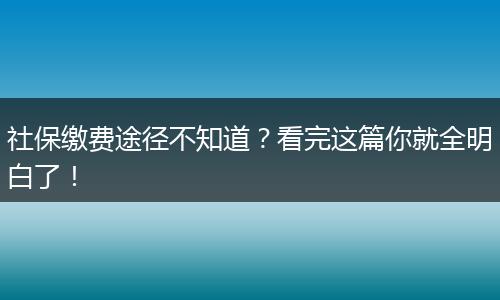 社保缴费途径不知道？看完这篇你就全明白了！