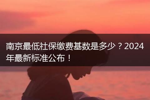 南京最低社保缴费基数是多少？2024年最新标准公布！