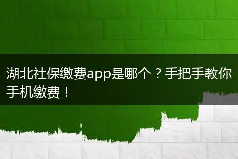 湖北社保缴费app是哪个？手把手教你手机缴费！